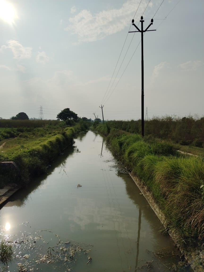 निचली गंगा नहर सूखी, सिंचाई संकट से जूझ रहे सैकड़ों किसान