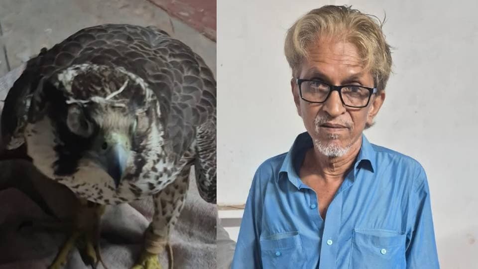 लखनऊ में वन्यजीव तस्करी का बड़ा खुलासा: 14 करोड़ रुपये के सात दुर्लभ बाज बरामद, मुंबई निवासी फिरोज मसर्रत खान गिरफ्तार