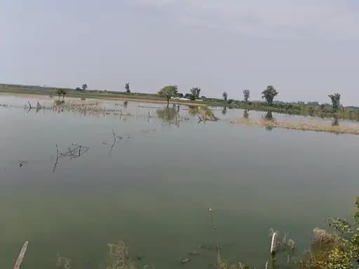 रामगंगा का जलस्तर बढ़ने से गंगा पार क्षेत्र में बाढ़ का खतरा, आधा दर्जन गांवों तक पहुंचा पानी; खेतों में कटान तेज